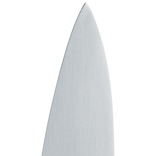 Chroma type 301 Messerset:  Filetier- und Ausbeinmesser